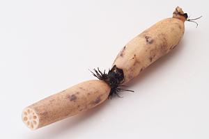 絶品生ハムを通販で手軽に楽しむ！贈り物にも最適な選び方ガイド