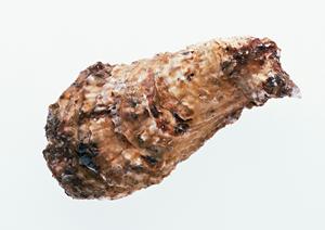 海浜幕張の居酒屋「大衆酒場 ムロヒガシ」:炭火串焼きと安旨グルメを楽しむ人気店の魅力