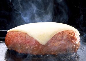 新橋で焼き牡蠣と海鮮料理を満喫!持ち込みOKのかき小屋で楽しむ絶品バーベキュー体験