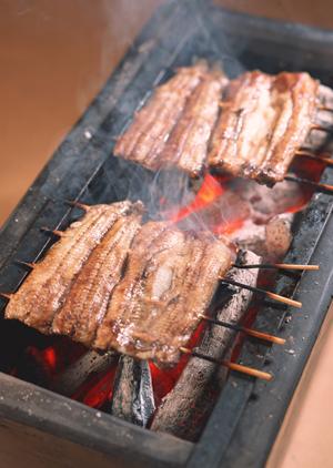 仙台の魅力を引き出す!2026年最新版おすすめカフェガイド